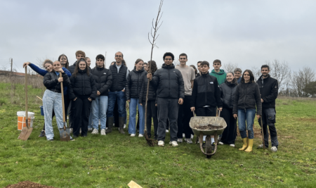 Plantation d’arbres au lycée !